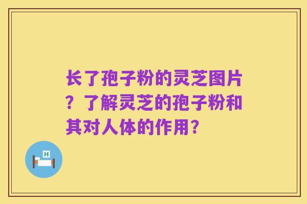 长了孢子粉的灵芝图片?了解灵芝的孢子粉和其对人体的作用?