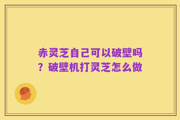 赤灵芝自己可以破壁吗?破壁机打灵芝怎么做