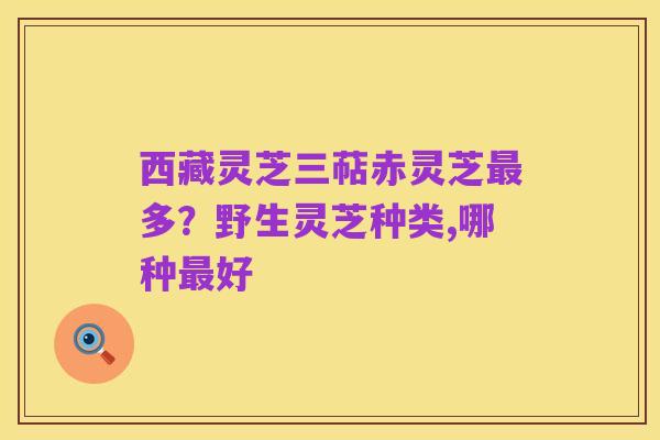 西藏灵芝三萜赤灵芝最多？野生灵芝种类,哪种最好