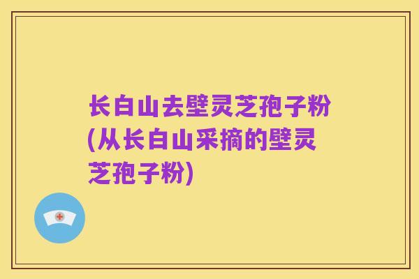 长白山去壁灵芝孢子粉(从长白山采摘的壁灵芝孢子粉)