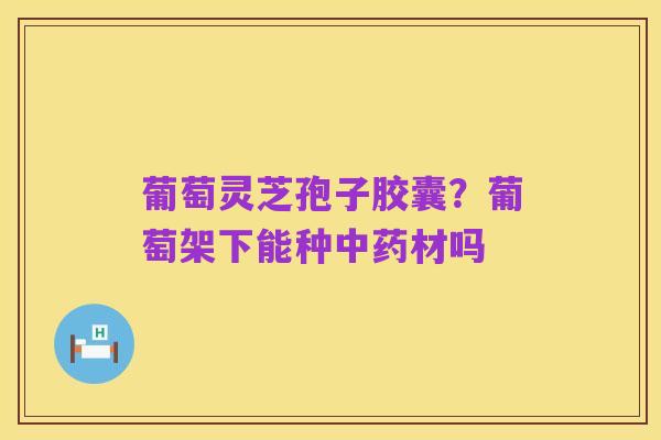 葡萄灵芝孢子胶囊?葡萄架下能种中药材吗