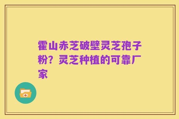 霍山赤芝破壁灵芝孢子粉?灵芝种植的可靠厂家