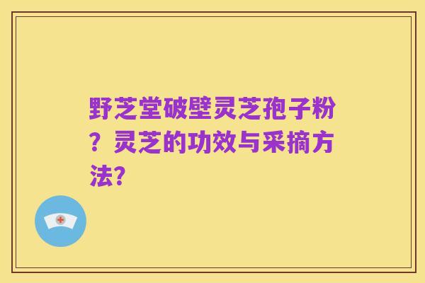 野芝堂破壁灵芝孢子粉?灵芝的功效与采摘方法?