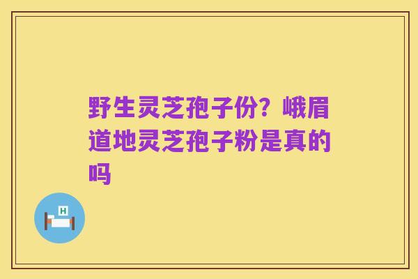 野生灵芝孢子份?峨眉道地灵芝孢子粉是真的吗