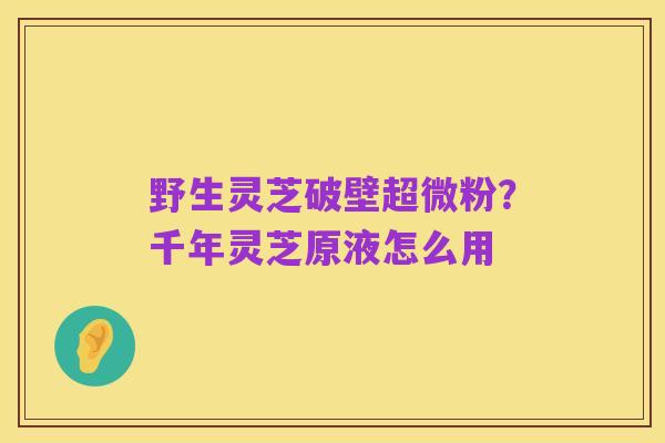 野生灵芝破壁超微粉？千年灵芝原液怎么用