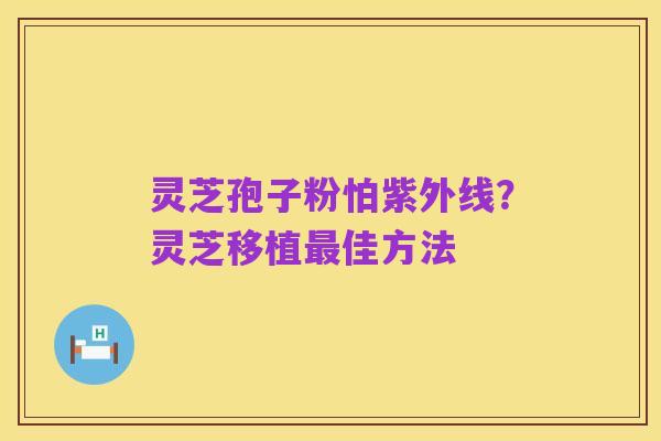 灵芝孢子粉怕紫外线？灵芝移植最佳方法