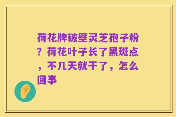 荷花牌破壁灵芝孢子粉?荷花叶子长了黑斑点,不几天就干了,怎么回事