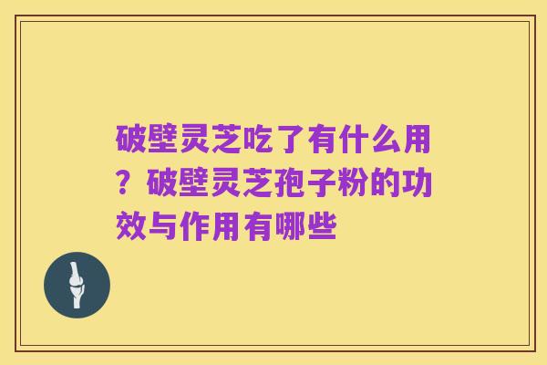 破壁灵芝吃了有什么用?破壁灵芝孢子粉的功效与作用有哪些