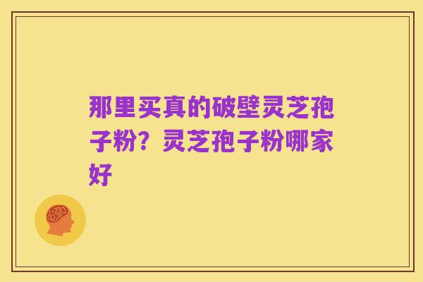 那里买真的破壁灵芝孢子粉?灵芝孢子粉哪家好