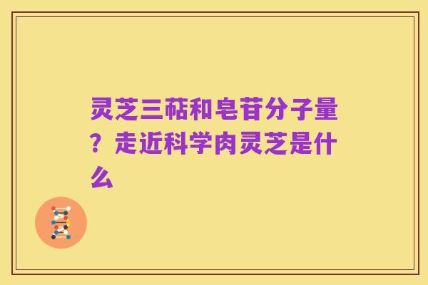 灵芝三萜和皂苷分子量?走近科学肉灵芝是什么