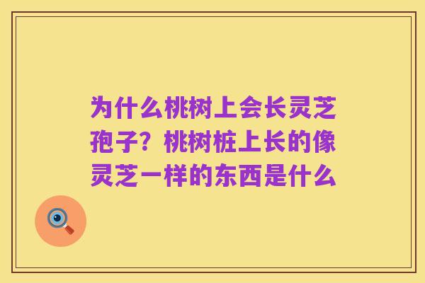 为什么桃树上会长灵芝孢子?桃树桩上长的像灵芝一样的东西是什么
