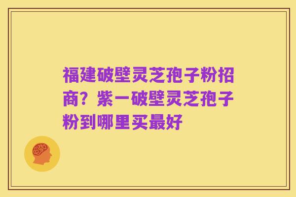 福建破壁灵芝孢子粉招商?紫一破壁灵芝孢子粉到哪里买最好