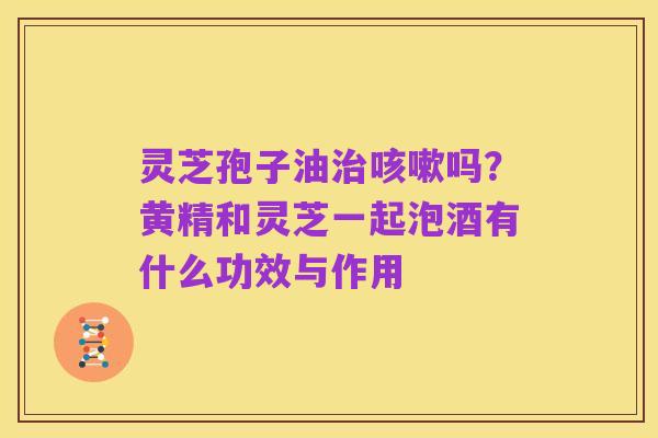 灵芝孢子油治咳嗽吗?黄精和灵芝一起泡酒有什么功效与作用