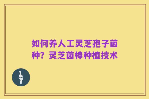 如何养人工灵芝孢子菌种?灵芝菌棒种植技术