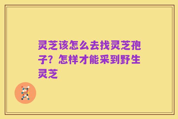 灵芝该怎么去找灵芝孢子?怎样才能采到野生灵芝