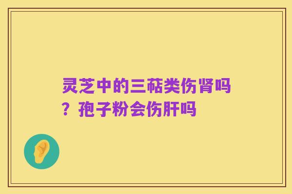 灵芝中的三萜类伤肾吗?孢子粉会伤肝吗