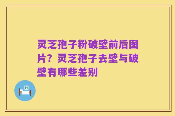 灵芝孢子粉破壁前后图片?灵芝孢子去壁与破壁有哪些差别