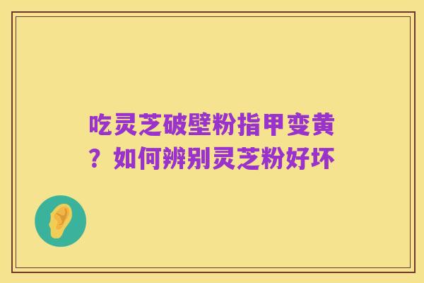 吃灵芝破壁粉指甲变黄?如何辨别灵芝粉好坏