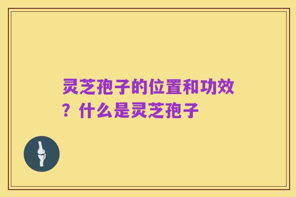 灵芝孢子的位置和功效?什么是灵芝孢子