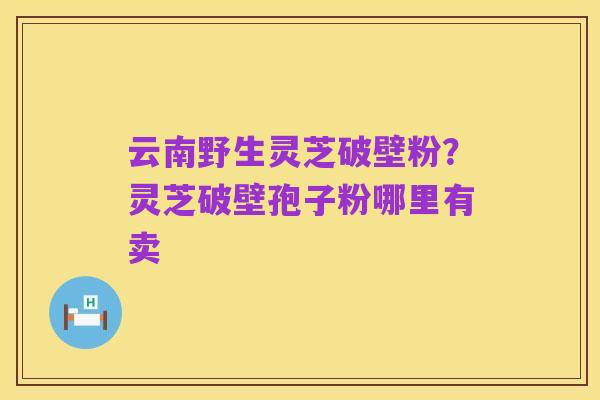 云南野生灵芝破壁粉？灵芝破壁孢子粉哪里有卖