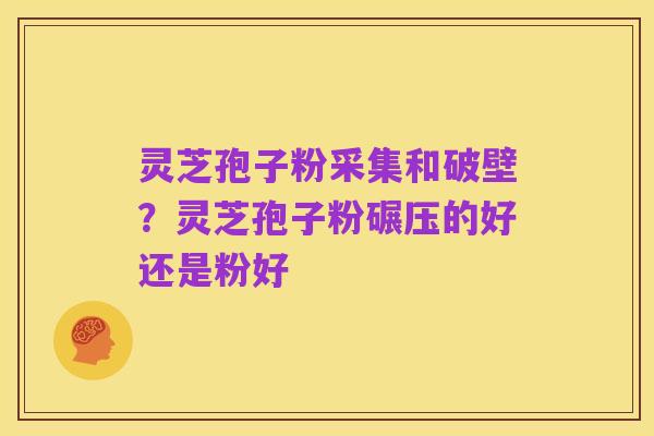 灵芝孢子粉采集和破壁?灵芝孢子粉碾压的好还是粉好