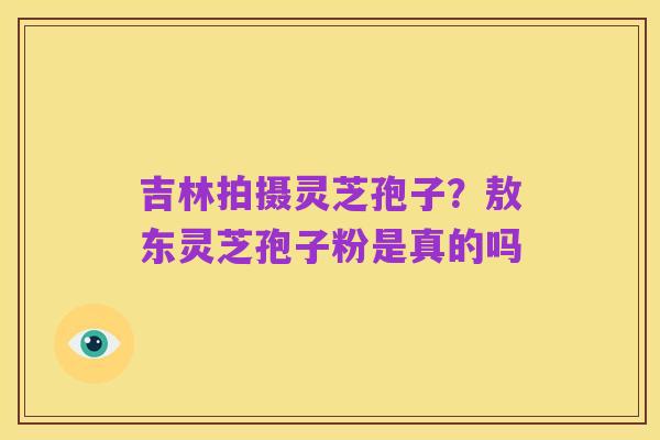 吉林拍摄灵芝孢子?敖东灵芝孢子粉是真的吗