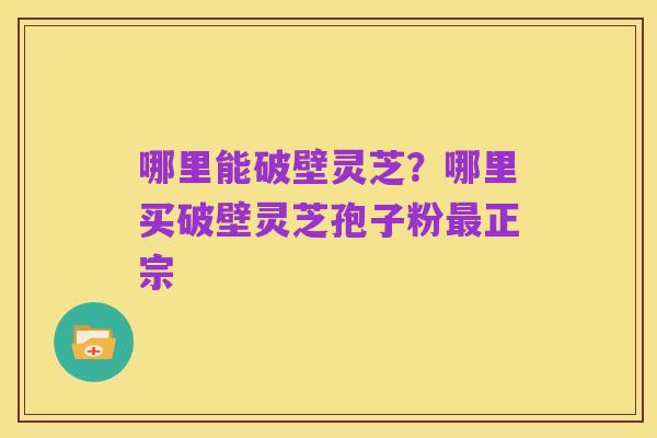 哪里能破壁灵芝?哪里买破壁灵芝孢子粉最正宗