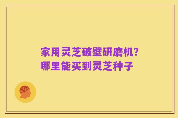 家用灵芝破壁研磨机?哪里能买到灵芝种子