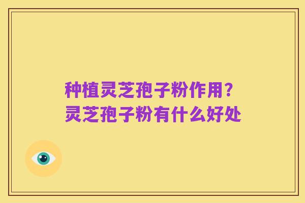 种植灵芝孢子粉作用?灵芝孢子粉有什么好处