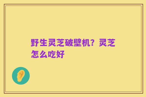 野生灵芝破壁机?灵芝怎么吃好