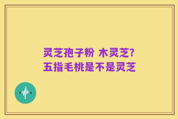 灵芝孢子粉 木灵芝?五指毛桃是不是灵芝