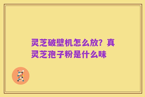灵芝破壁机怎么放？真灵芝孢子粉是什么味