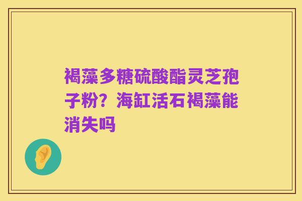 褐藻多糖硫酸酯灵芝孢子粉?海缸活石褐藻能消失吗
