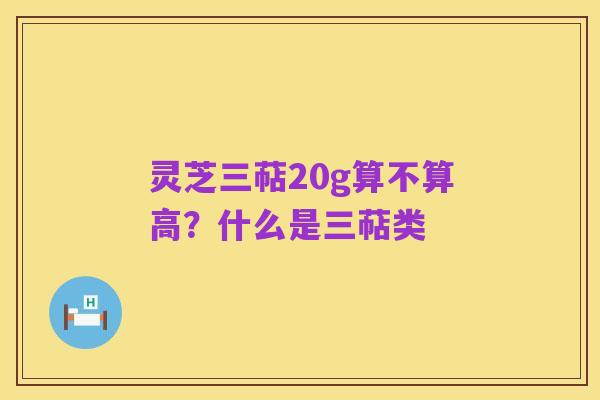 灵芝三萜20g算不算高?什么是三萜类