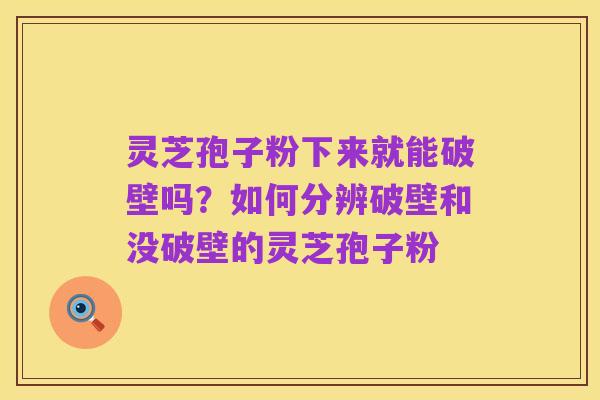 灵芝孢子粉下来就能破壁吗？如何分辨破壁和没破壁的灵芝孢子粉