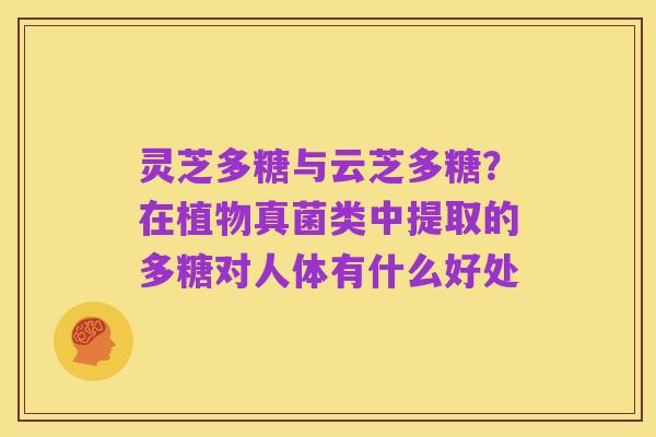 灵芝多糖与云芝多糖?在植物真菌类中提取的多糖对人体有什么好处