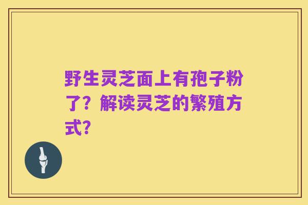 野生灵芝面上有孢子粉了？解读灵芝的繁殖方式？