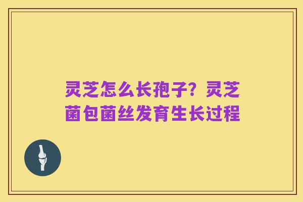 灵芝怎么长孢子？灵芝菌包菌丝发育生长过程
