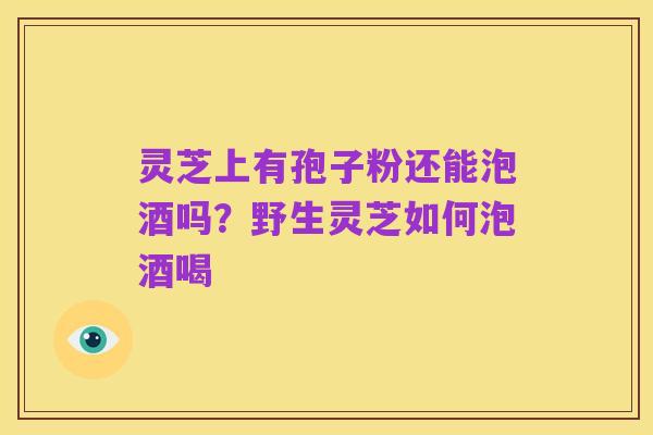 灵芝上有孢子粉还能泡酒吗?野生灵芝如何泡酒喝