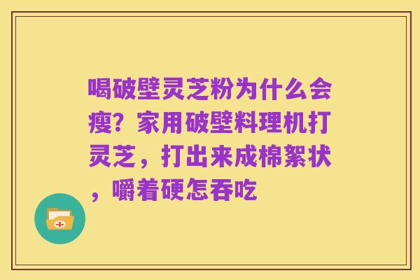 喝破壁灵芝粉为什么会瘦？家用破壁料理机打灵芝，打出来成棉絮状，嚼着硬怎吞吃