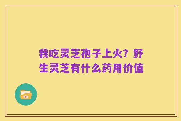 我吃灵芝孢子上火?野生灵芝有什么药用价值