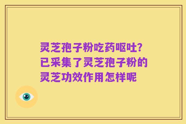 灵芝孢子粉吃药呕吐?已采集了灵芝孢子粉的灵芝功效作用怎样呢