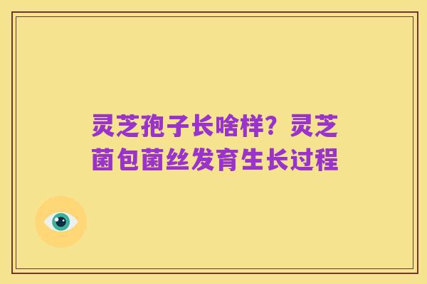 灵芝孢子长啥样?灵芝菌包菌丝发育生长过程