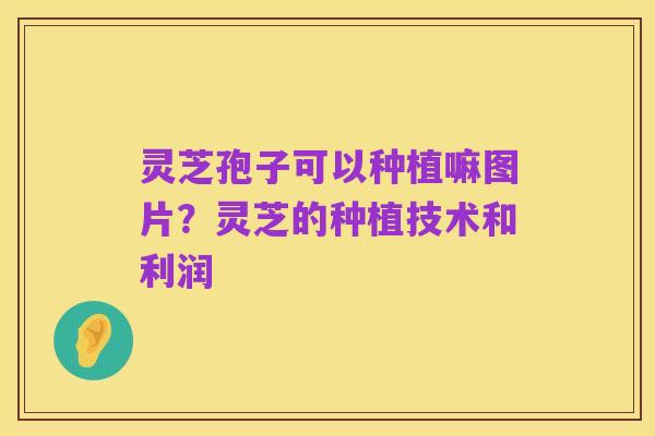 灵芝孢子可以种植嘛图片？灵芝的种植技术和利润