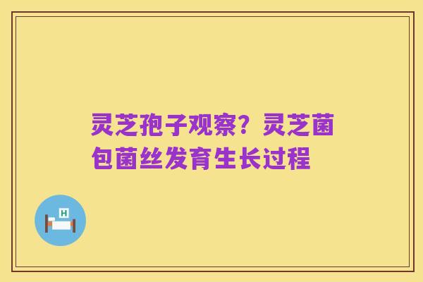 灵芝孢子观察?灵芝菌包菌丝发育生长过程