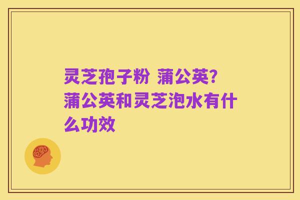 灵芝孢子粉 蒲公英?蒲公英和灵芝泡水有什么功效