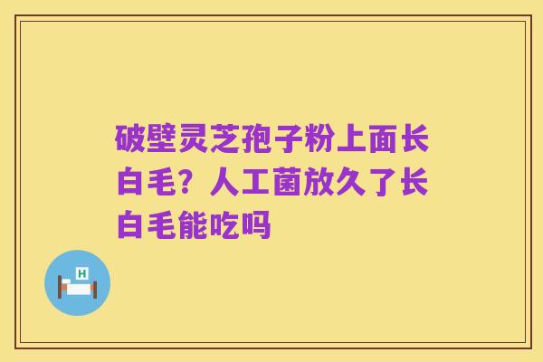 破壁灵芝孢子粉上面长白毛?人工菌放久了长白毛能吃吗