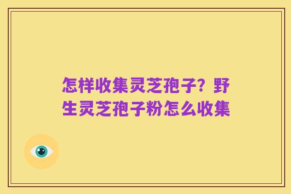怎样收集灵芝孢子?野生灵芝孢子粉怎么收集
