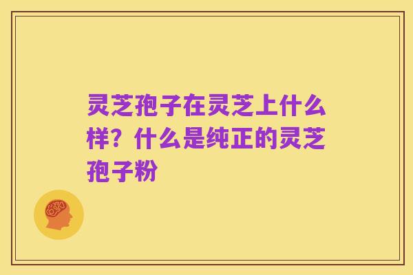灵芝孢子在灵芝上什么样？什么是纯正的灵芝孢子粉