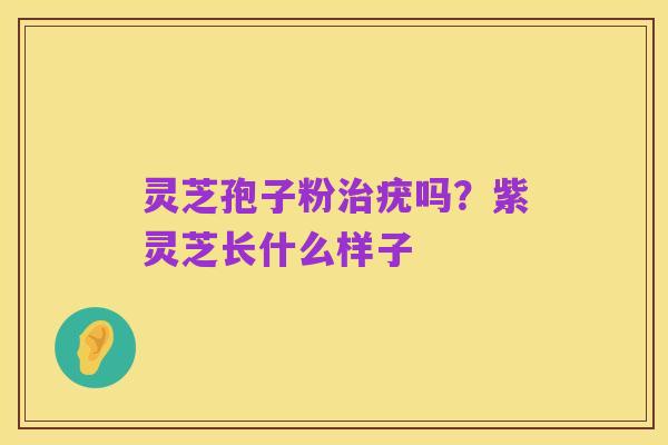 灵芝孢子粉治疣吗?紫灵芝长什么样子